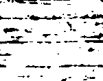 Die Katze