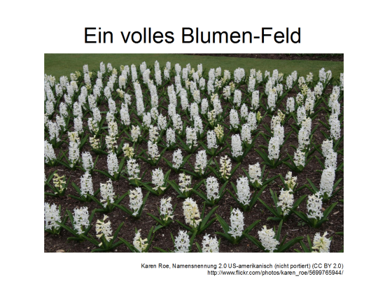 Felder1