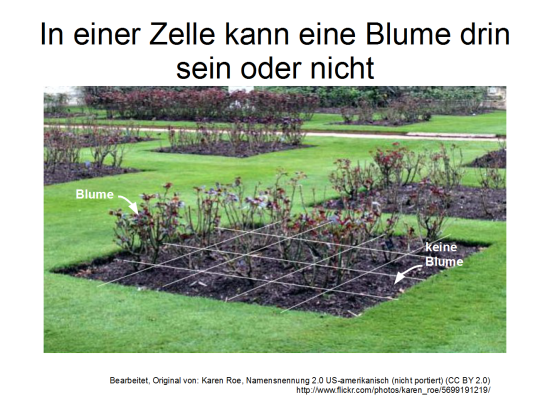 Felder4