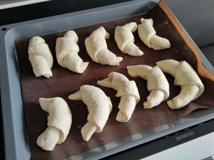 Vögel und Croissants, Tagebuchblog