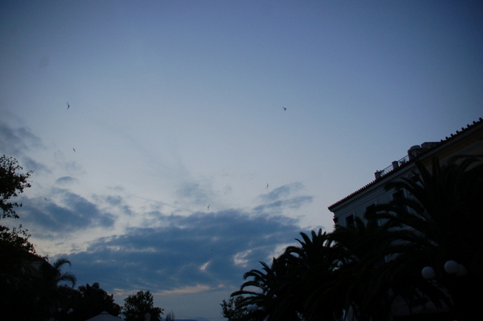 greece_nauplia_swifts