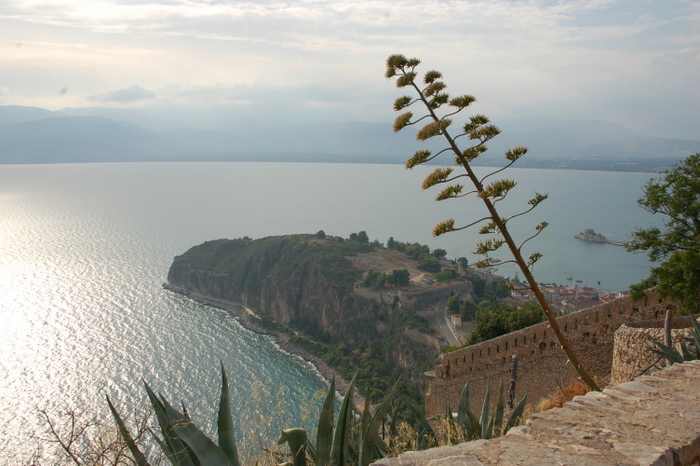 greece_nauplia_trees