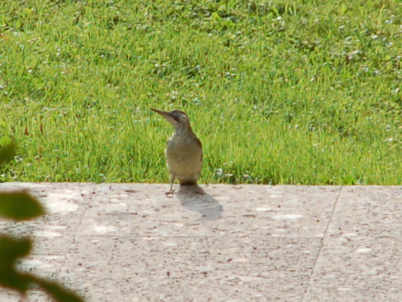 gruenspecht_2014_09