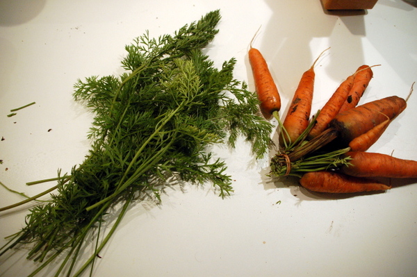 Pesto aus Karottengrün