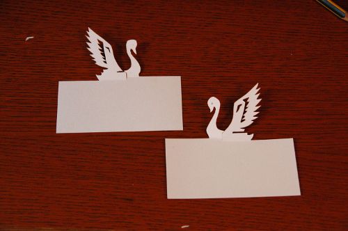 schwan1