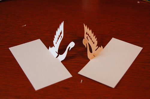 schwan2