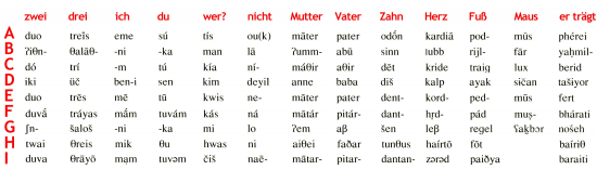 sprachgeschichte1