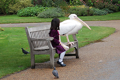 st_jamess_park.jpg