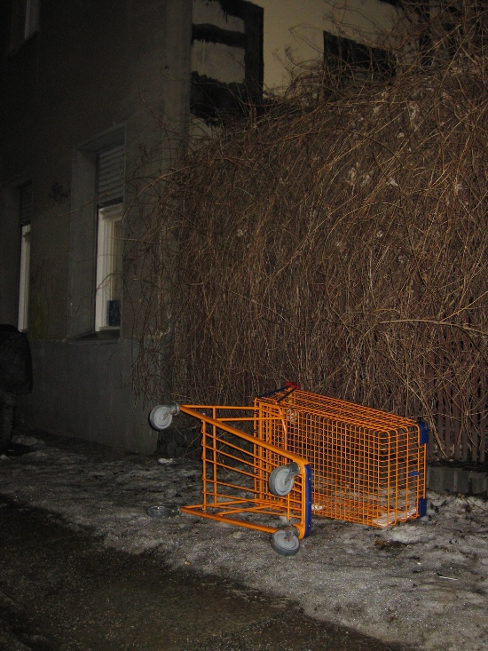 stray_cart1