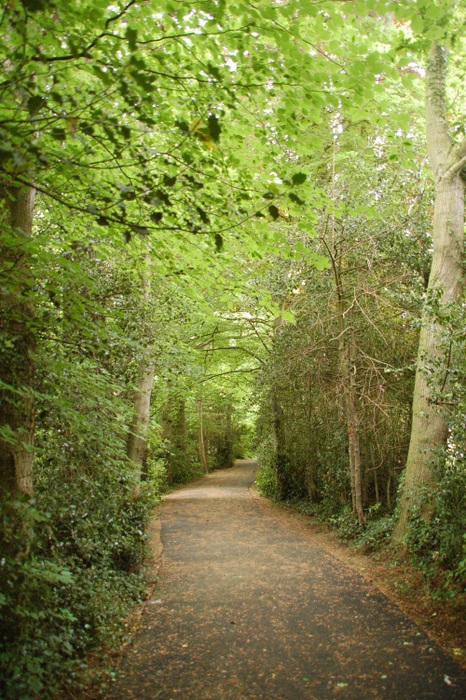 Parklandschaft mit Weg