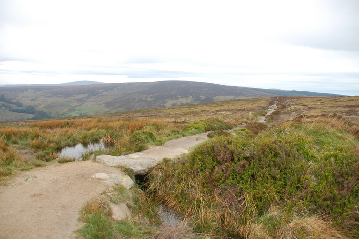 Landschaft mit Weg