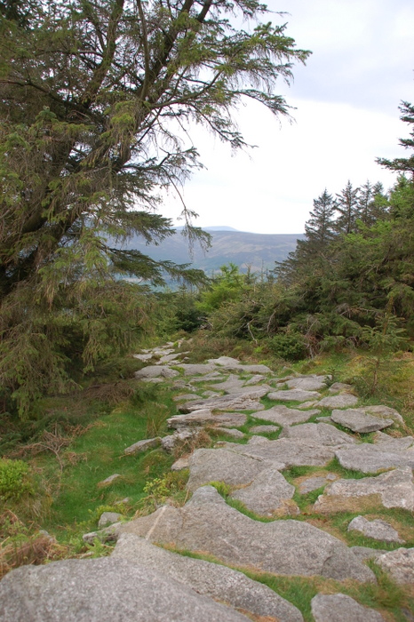 Landschaft mit Weg