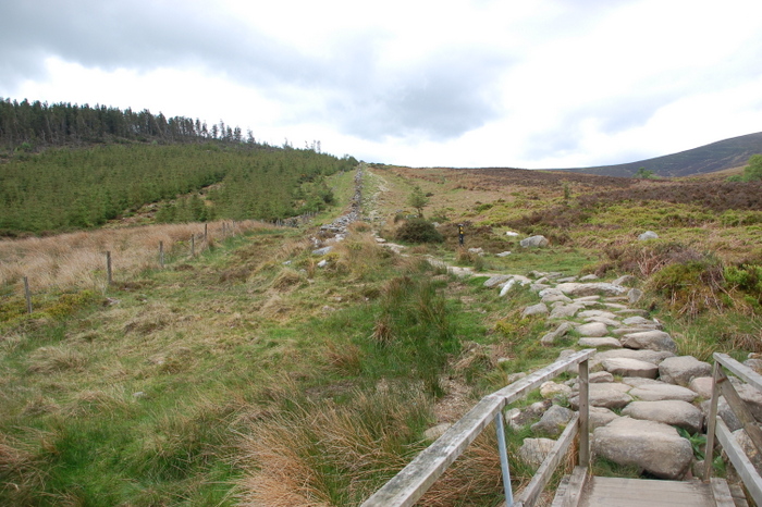 Landschaft mit Weg