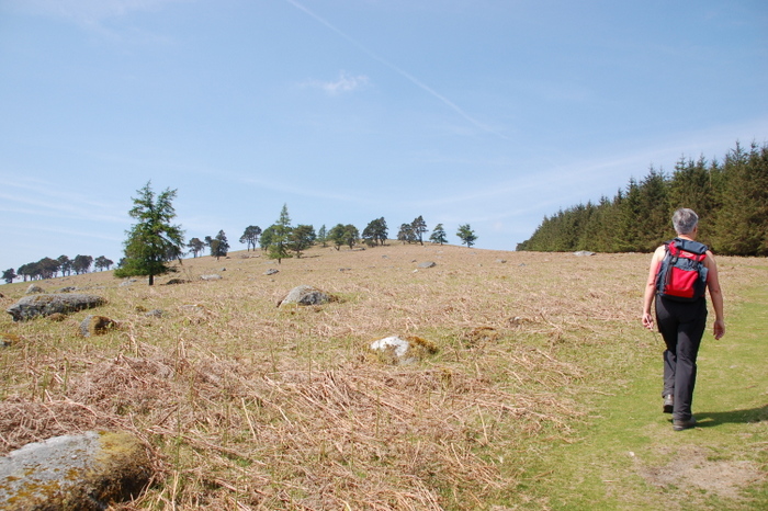 Landschaft