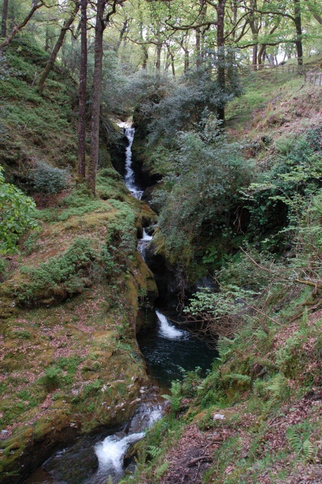 Wasserfall