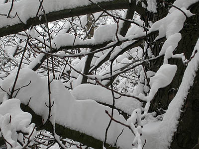 winter1.jpg