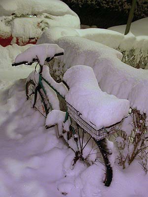 winter2.jpg