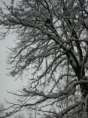 winter3.jpg