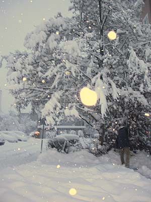 winter4.jpg