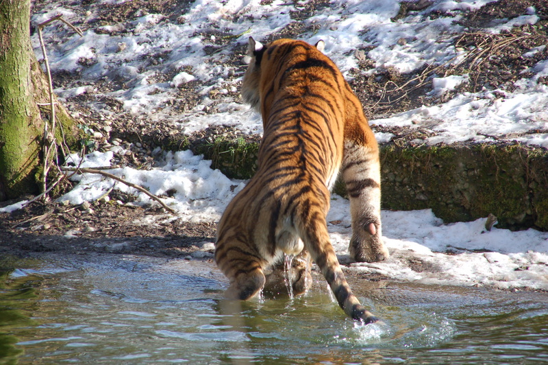 zoo2015_04