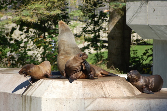 zoo_2013_09_06