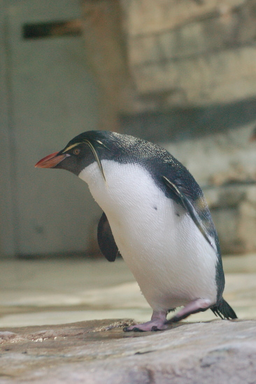 zoo_2013_09_11